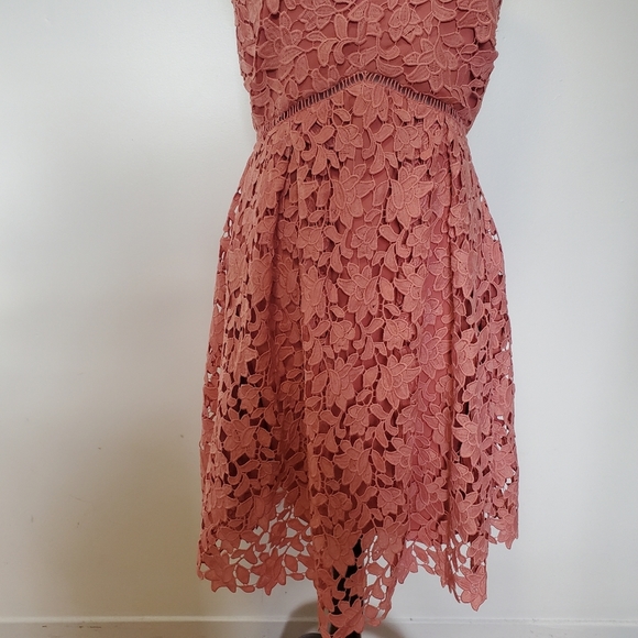 NWT Oak + Fort Lace Pink Dress - Picture 6 of 11